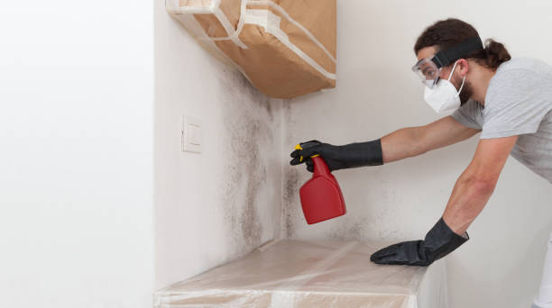 Professional Mold Remediation technician working in Deerfield, MI