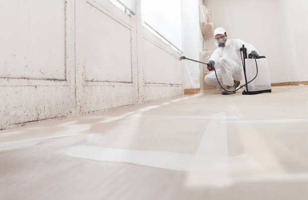 24/7 Emergency Mold Remediation experts in Deerfield, MI