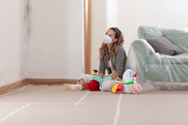 Reliable Mold Remediation contractor in Deerfield, MI by WQB Mold Removal